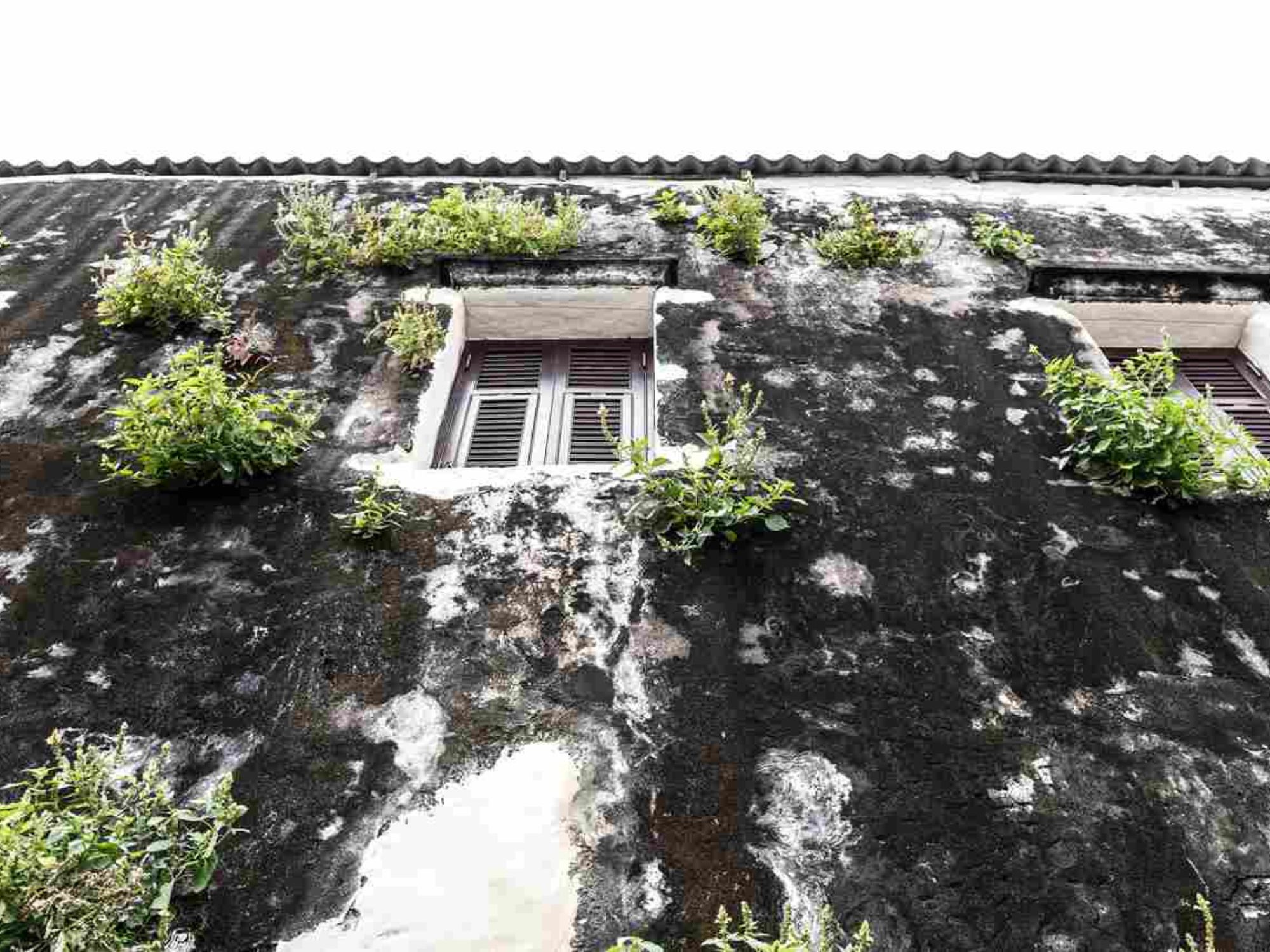 Subsidence